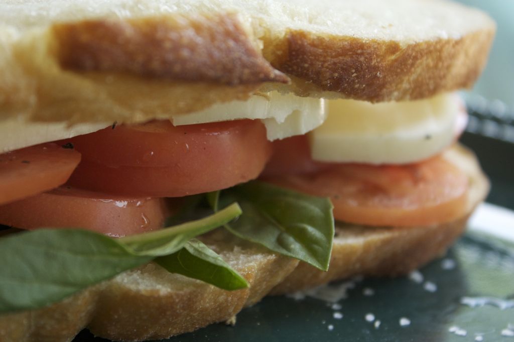 sandwich
