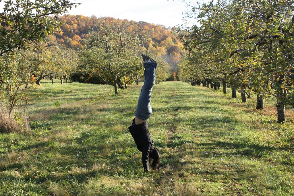 handstand